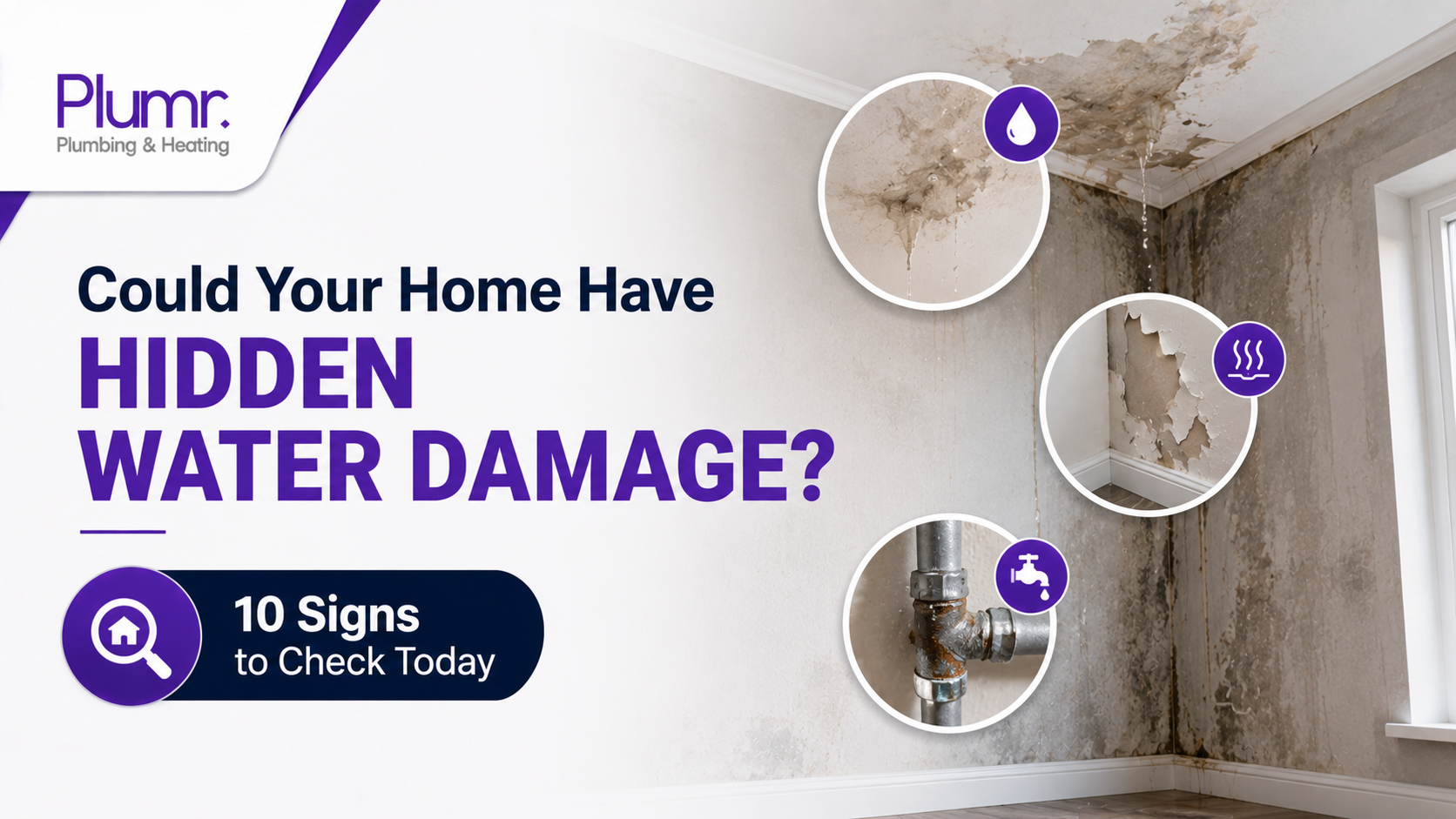 Hidden water damage signs revealed